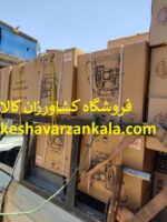دمنده موتوری SKN EB500E