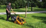 قیمت چمن زن بنزینی AS آلمان مدل AS 531 2T ، خرید چمن زن بنزینی AS آلمان مدل AS 531 2T ، چمن زن حرفه ای آلمانی ، چمن زن موتوری AS ، مرکز فروش چمن زن حرفه ای ، چمن زن ، چمن زن موتوری ، چمن زن بنزینی ، چمنزن موتوری ، چمنزن موتوری ، چمن زن مناسب زمین های شیب دار
