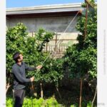 لانس سمپاش شارژی 2.5 متری مناسب ارتفاع بالا - تصویر 6