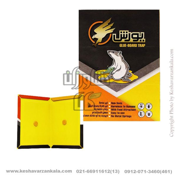 youresh-glue-board-trap , قیمت چسب موش کتابی یورش , نماینده فروش شرکت چسب موش یورش , طرز استفاده از چسب موش کتابی یورش , چسب موش کتابی یورش داروخانه , چسب موش کتابی یورش عمده