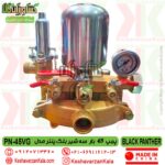 حرید پمپ سمپاش 45 بار بلک پنتر مدل PV-45VG طلایی: بررسی مشخصات فنی، فشار کاری، دبی، توان مورد نیاز موتور، وزن دستگاه و اقلام همراه. استعلام قیمت روز , قیمت پمپ سمپاش 45 بار بلک پنتر , خرید پمپ سمپاش 45 بار بلک پنتر , قیمت و خرید پمپ سمپاش پیستونی 45 بار بلک پنتر , قیمت پمپ سمپاش چینی درجه یک بلک پنتر , قیمت پمپ سمپاش طلایی بلک پنتر , black-panther-power-spray-PN-45VG