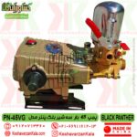 حرید پمپ سمپاش 45 بار بلک پنتر مدل PV-45VG طلایی: بررسی مشخصات فنی، فشار کاری، دبی، توان مورد نیاز موتور، وزن دستگاه و اقلام همراه. استعلام قیمت روز , قیمت پمپ سمپاش 45 بار بلک پنتر , خرید پمپ سمپاش 45 بار بلک پنتر , قیمت و خرید پمپ سمپاش پیستونی 45 بار بلک پنتر , قیمت پمپ سمپاش چینی درجه یک بلک پنتر , قیمت پمپ سمپاش طلایی بلک پنتر , black-panther-power-spray-PN-45VG